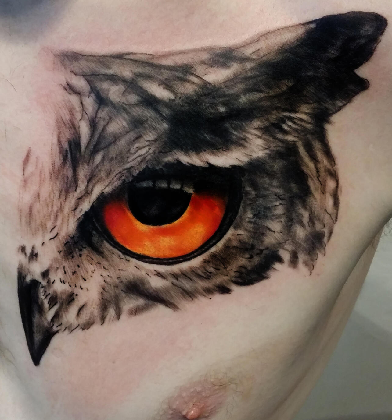 owl's eye